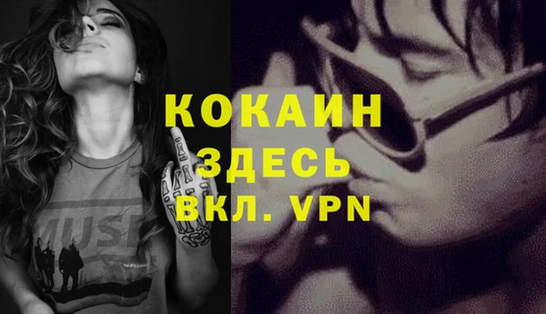 сатива Вязники