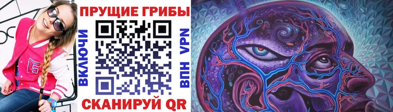Псилоцибиновые грибы мухоморы Купить закладки Тетюши